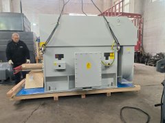 磨媒机用三相异步电动机YMPS560-6